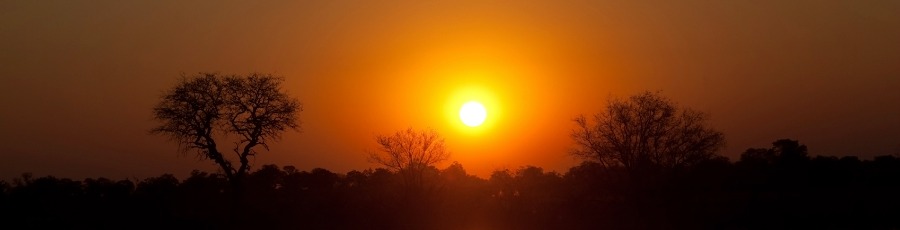 Start your African Safari with a campervan rental in Botswana